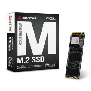 Biostar M760 256GB M.2 SSD at The Gamers Lounge Shop Malta